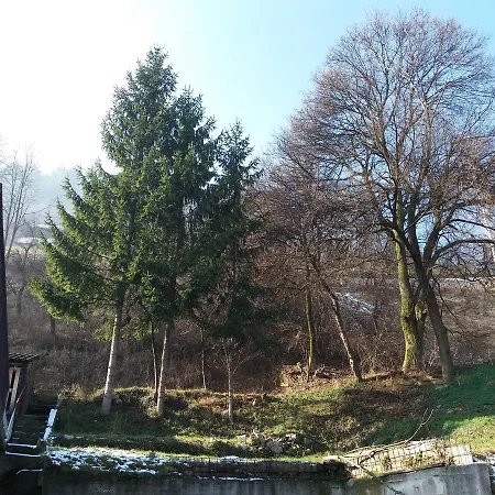 Jasna *